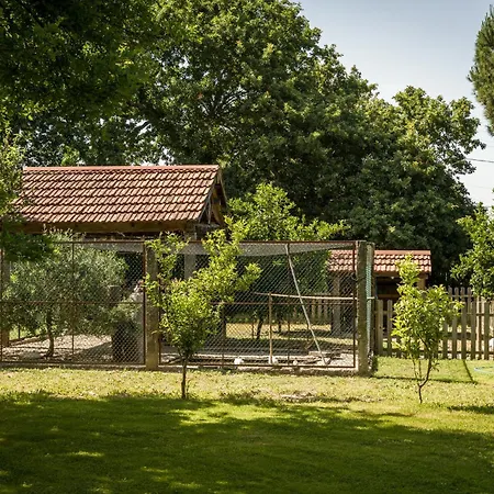Quinta Da Povoacao Grande Agroturismo