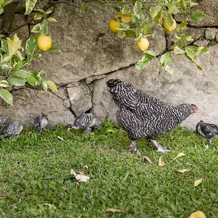 Agroturismo Quinta Da Povoacao Grande